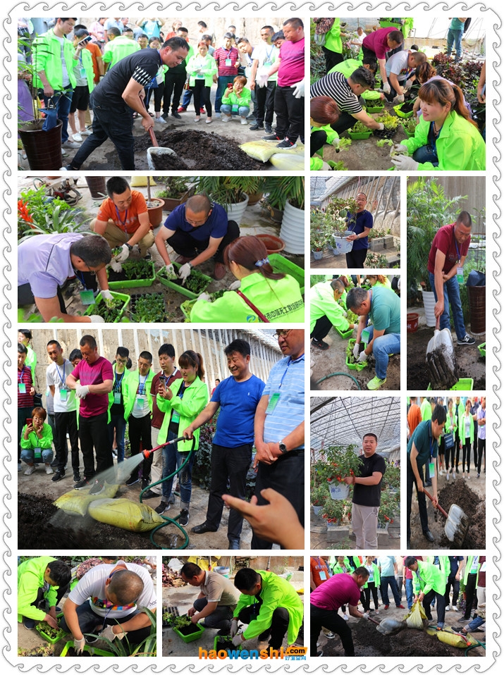 盆栽基地.jpg 盆栽基地.jpg