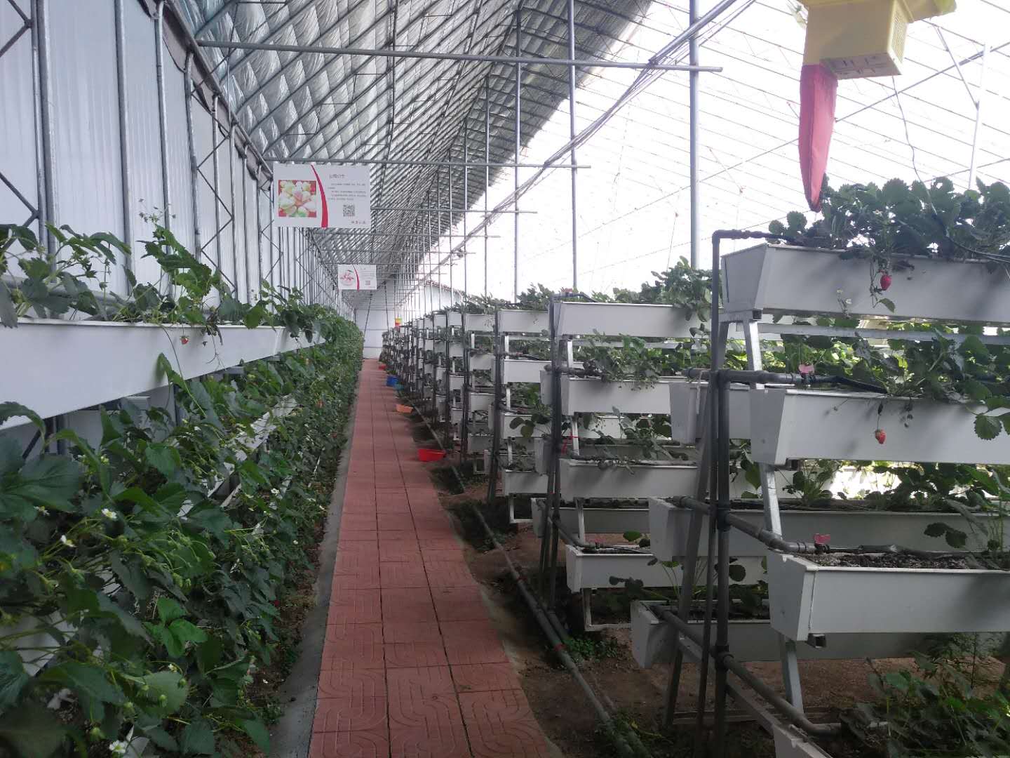 8caa259e6c61797cb0ba8f4469aea45.jpg 8caa259e6c61797cb0ba8f4469aea45.jpg