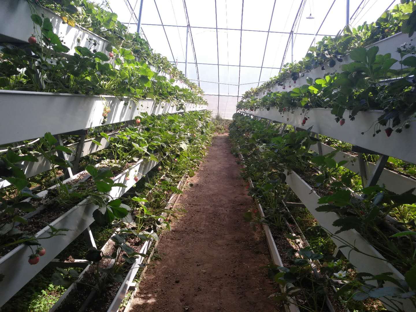 b1ca043675f2e0f2f5fc447def35e0b.jpg b1ca043675f2e0f2f5fc447def35e0b.jpg