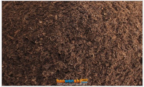 草炭.jpg 草炭.jpg