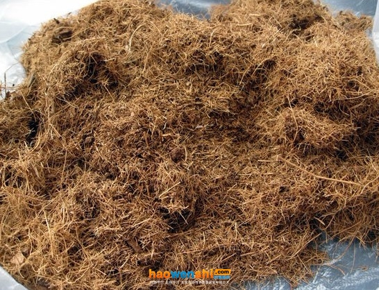 椰糠.jpg 椰糠.jpg