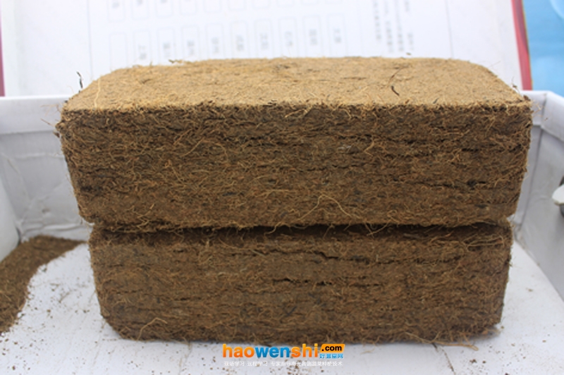 椰糠磚.jpg 椰糠磚.jpg