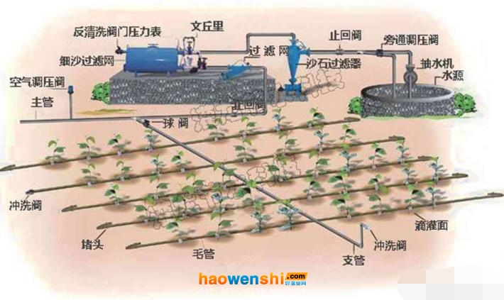 滴灌系統(tǒng).jpg 滴灌系統(tǒng).jpg
