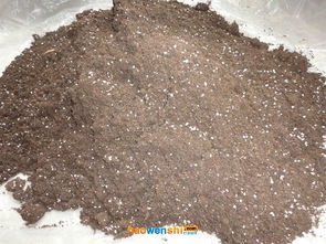 菇渣.jpg 菇渣.jpg