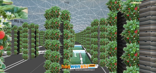 霧培 (1).jpg 霧培 (1).jpg