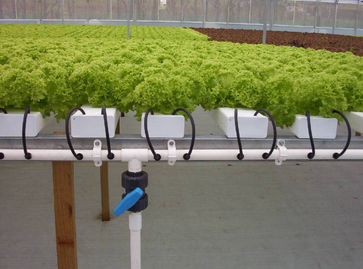 營養(yǎng)液循環(huán)流動(dòng)裝置.jpg 營養(yǎng)液循環(huán)流動(dòng)裝置.jpg