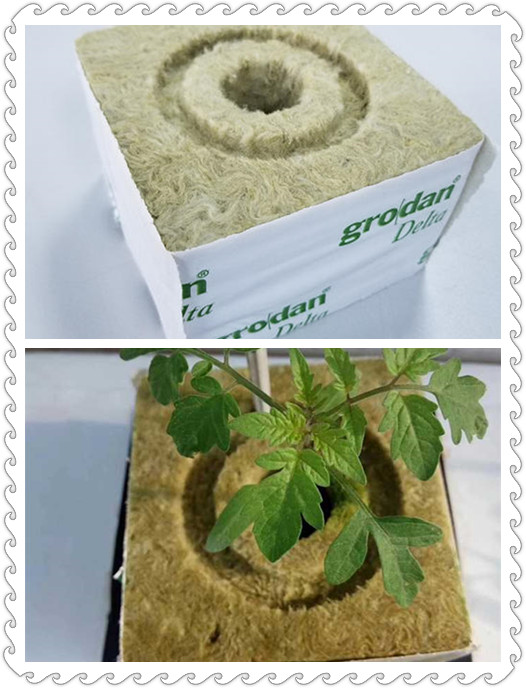 無(wú)土栽培巖棉塊.jpg 無(wú)土栽培巖棉塊.jpg