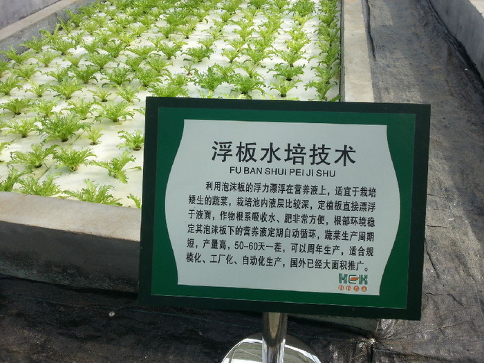 無土栽培浮板水培技術(shù).jpg 無土栽培浮板水培技術(shù).jpg