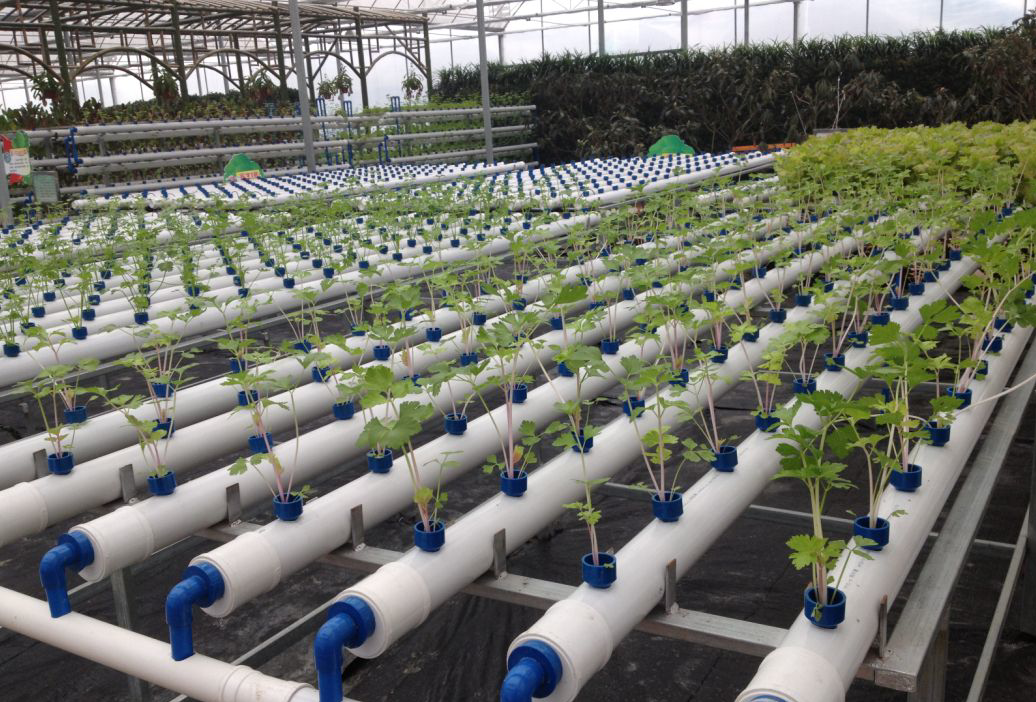 管道水培.png 管道水培.png