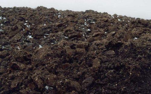 無(wú)土栽培草炭.jpg 無(wú)土栽培草炭.jpg