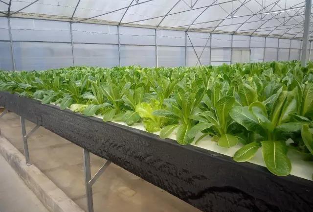 通用底槽及槽堵.jpg 通用底槽及槽堵.jpg