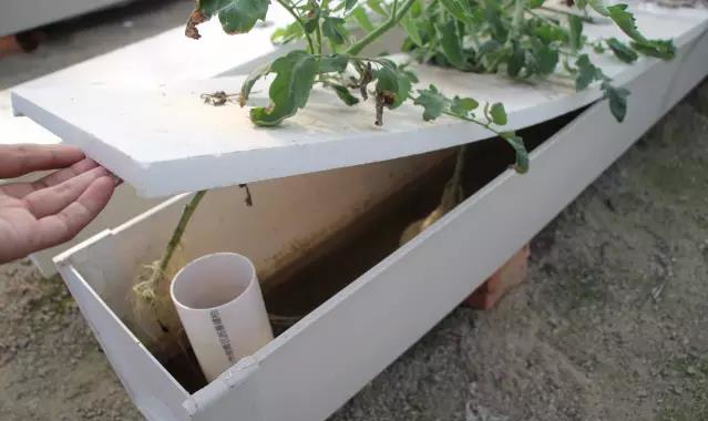 A型定植板.jpg A型定植板.jpg