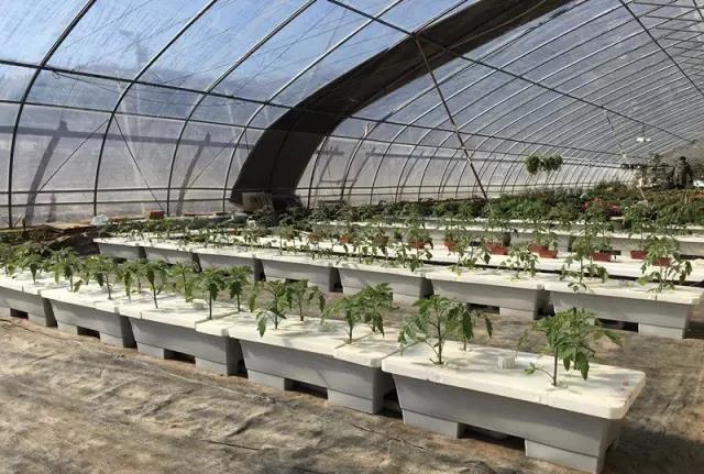 C型托植板.jpg C型托植板.jpg