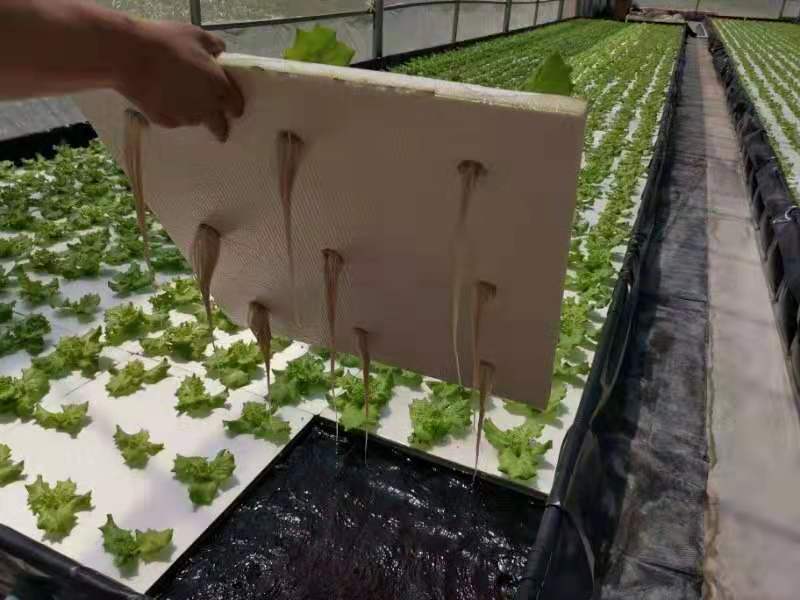 深夜流技術(shù).jpg 深夜流技術(shù).jpg