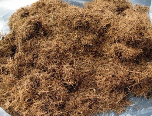 無土栽培椰糠.jpg 無土栽培椰糠.jpg