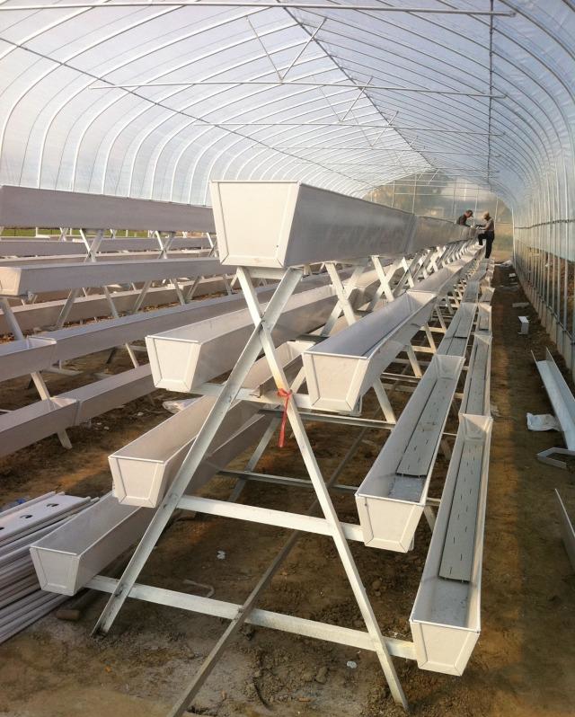 A型栽培架.jpg A型栽培架.jpg