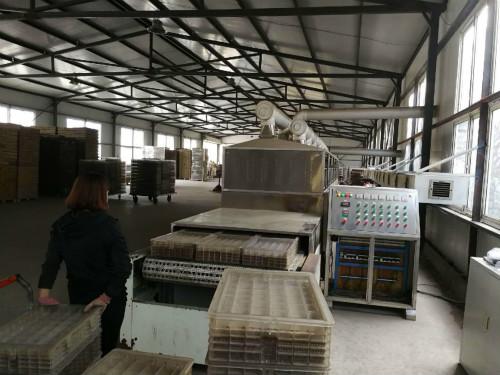 基質(zhì)消毒.jpg 基質(zhì)消毒.jpg