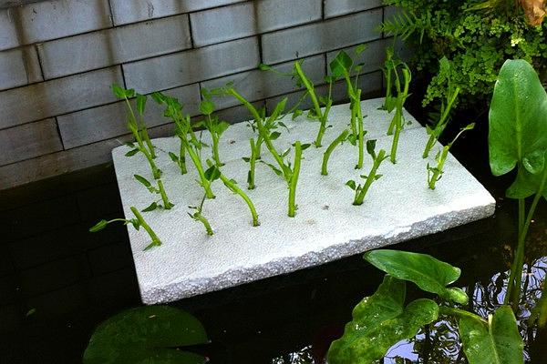 直接漂浮法.jpg 直接漂浮法.jpg