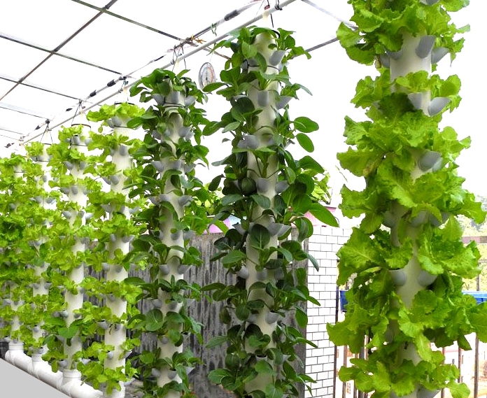 立柱式無土栽培.jpg 立柱式無土栽培.jpg