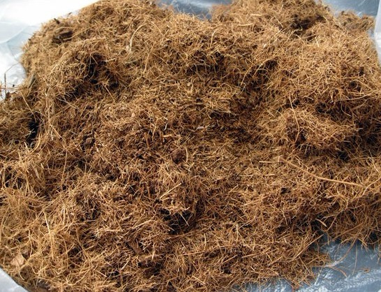 戳我試試 戳我試試