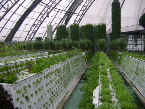 霧培.JPG 霧培.JPG