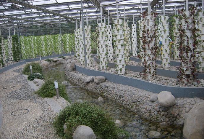 立體無土栽培.jpg 立體無土栽培.jpg