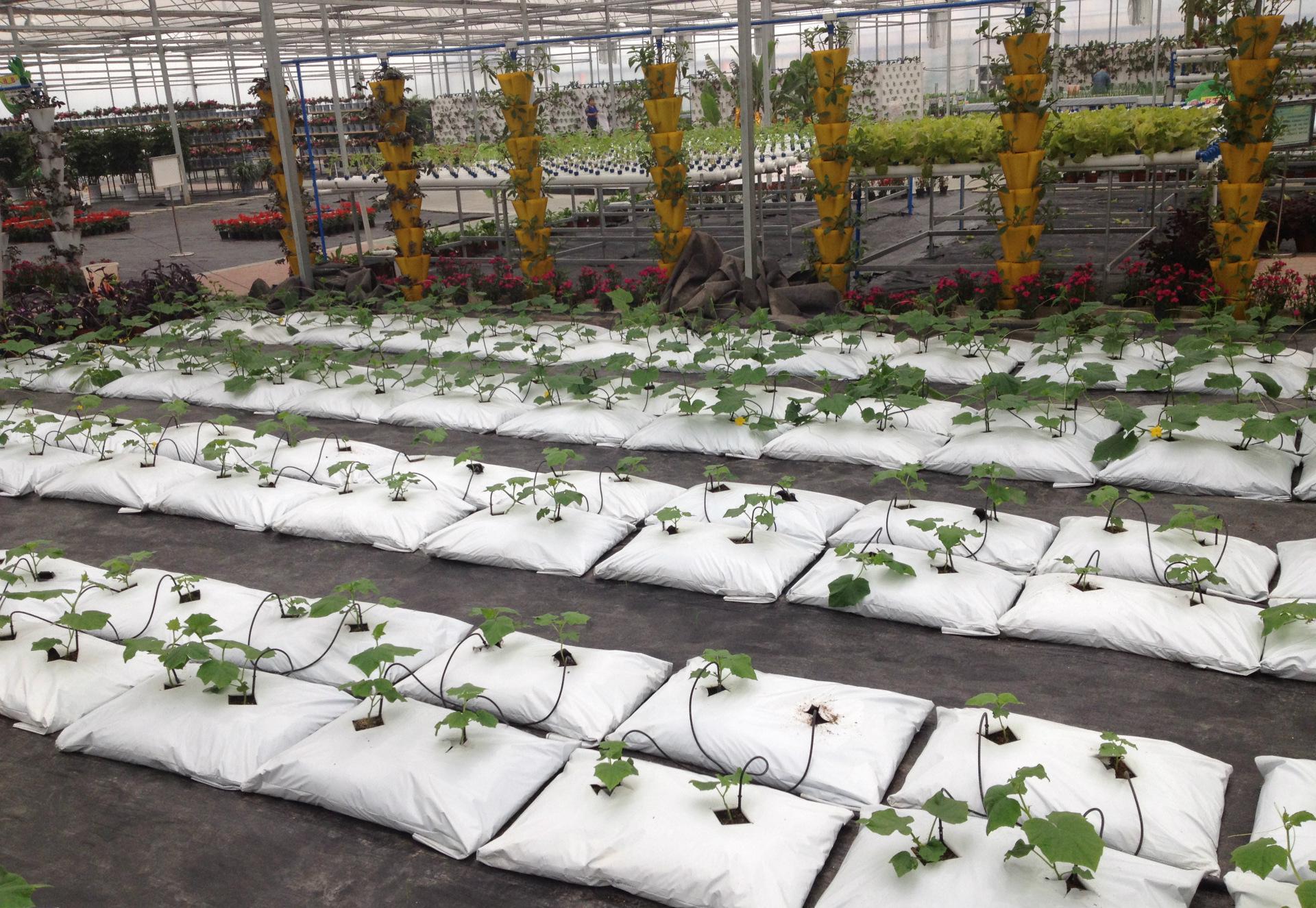 基質(zhì)栽培.jpg 基質(zhì)栽培.jpg