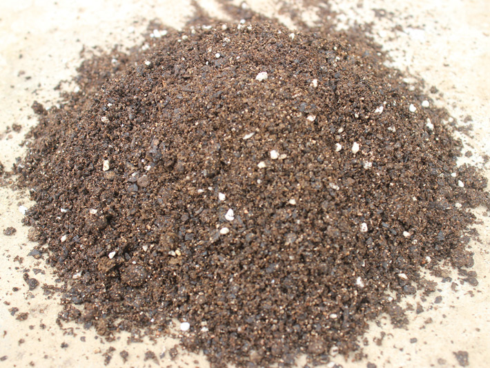 無土栽培菇渣.jpg 無土栽培菇渣.jpg