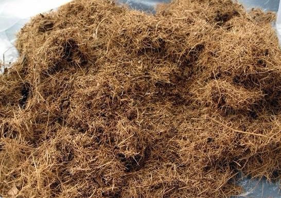 椰糠.jpg 椰糠.jpg