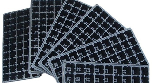 穴盤.jpg 穴盤.jpg