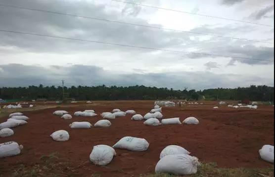 自然雨水沖洗.jpg 自然雨水沖洗.jpg