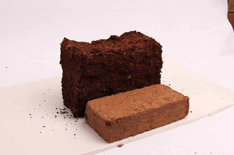 椰糠磚.jpg 椰糠磚.jpg