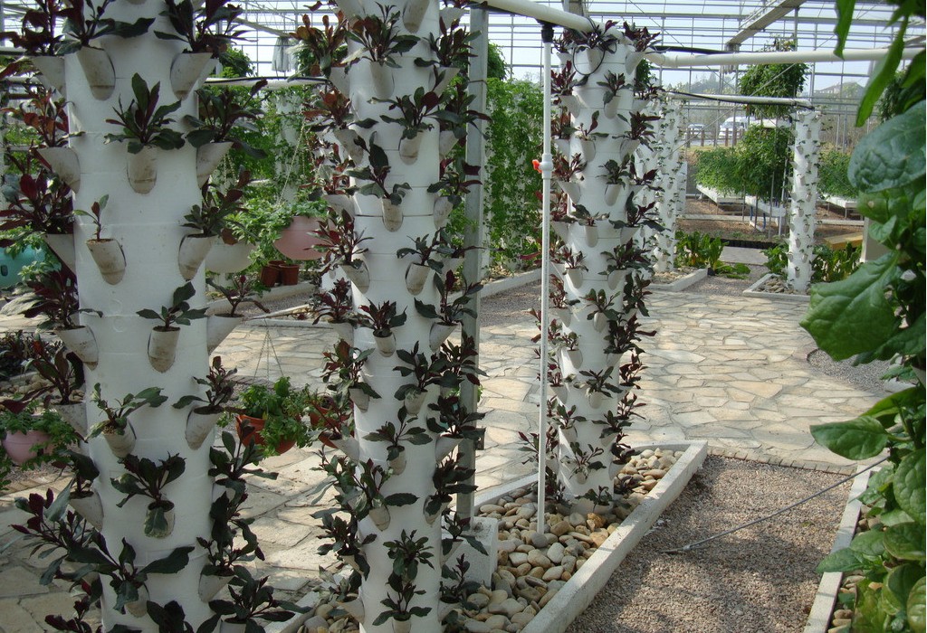 柱式栽培.jpg 柱式栽培.jpg