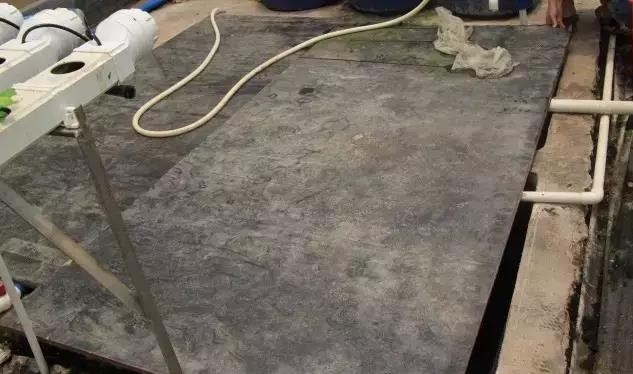 戳我試試 戳我試試