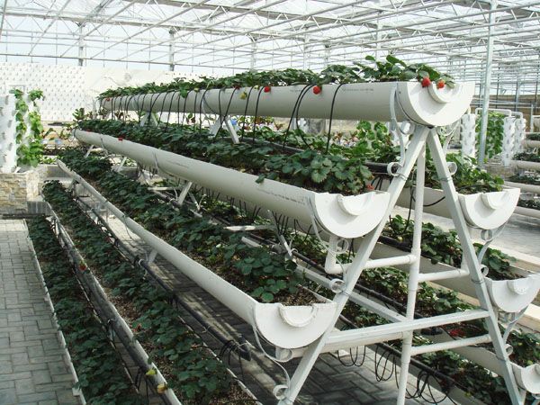 A型字架.jpg A型字架.jpg