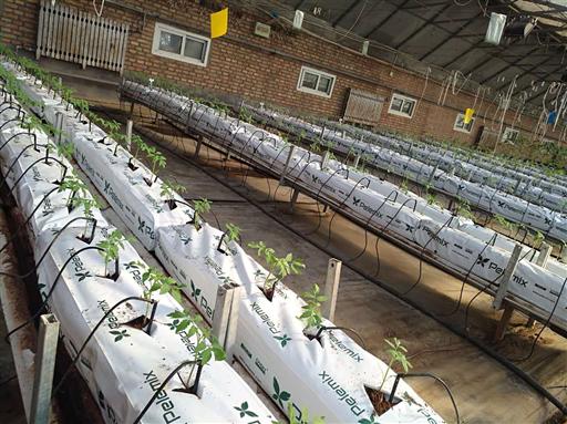 定值.jpg 定值.jpg