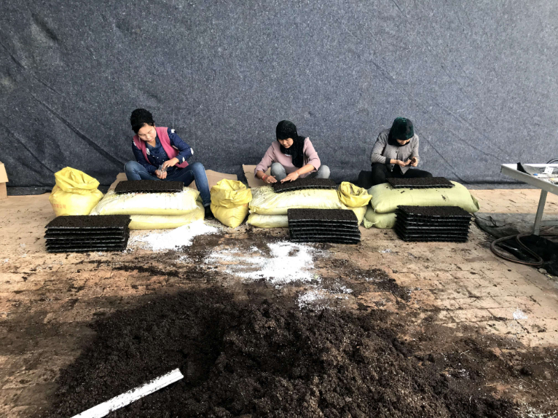 播種.jpg 播種.jpg