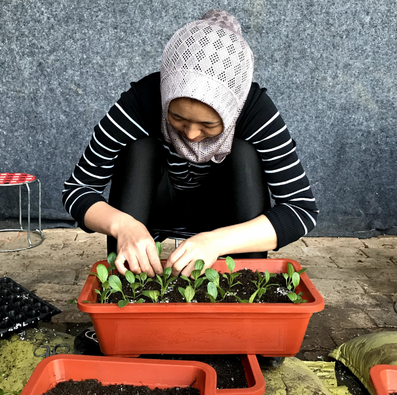 定值.jpg 定值.jpg