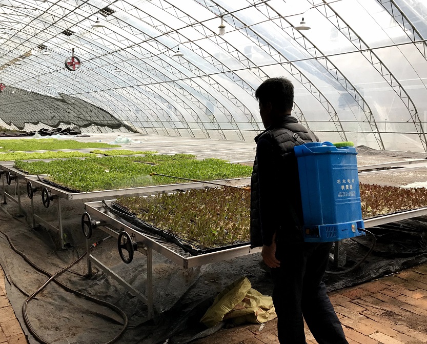 病蟲害防治.jpg 病蟲害防治.jpg