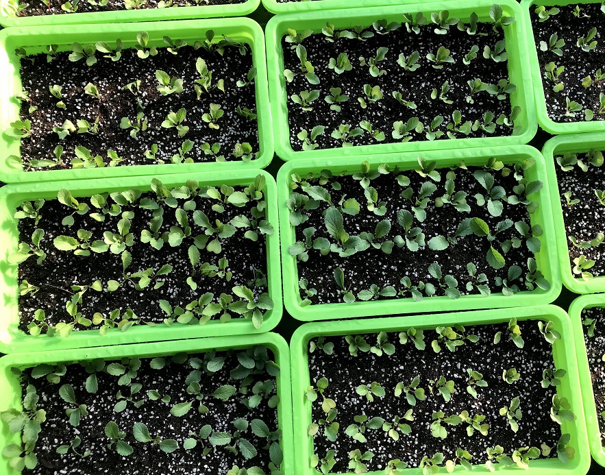 定值.jpg 定值.jpg