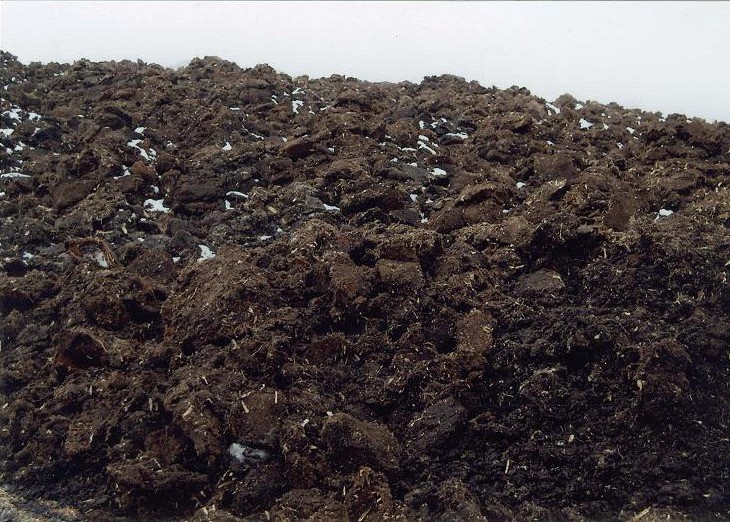 草炭.jpg 草炭.jpg