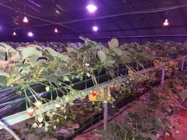 補(bǔ)光.jpg 補(bǔ)光.jpg