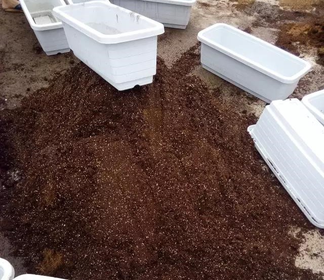 栽培基質(zhì).jpg 栽培基質(zhì).jpg