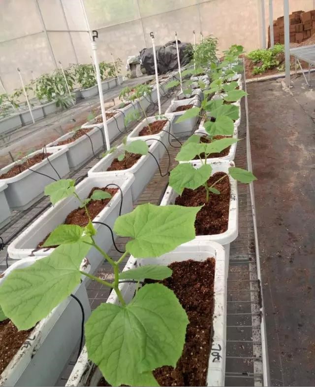 定值.jpg 定值.jpg