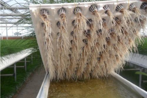 戳我試試 戳我試試