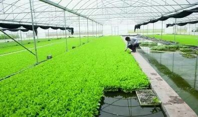 戳我試試 戳我試試