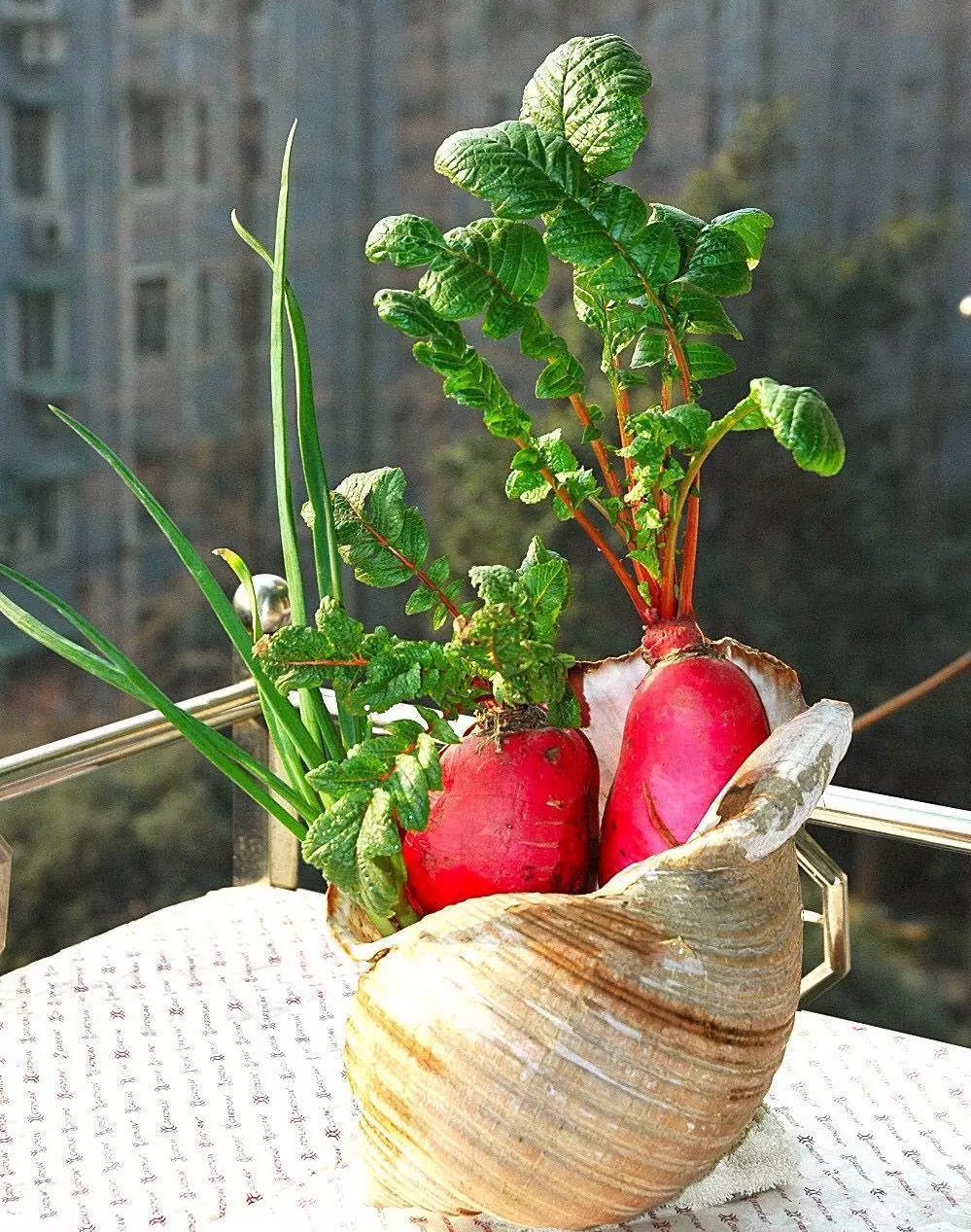 根莖類蔬菜.jpg 根莖類蔬菜.jpg