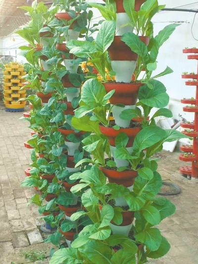 立柱式.jpg 立柱式.jpg