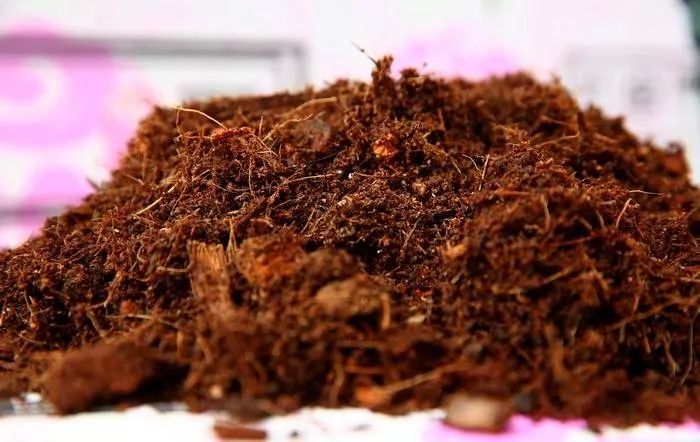 菇渣.jpg 菇渣.jpg