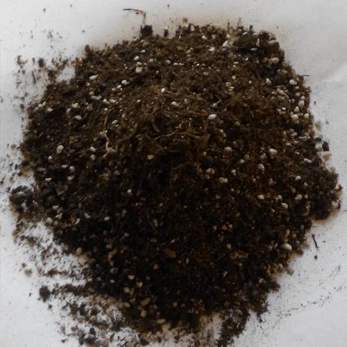 育苗基質(zhì).jpg 育苗基質(zhì).jpg
